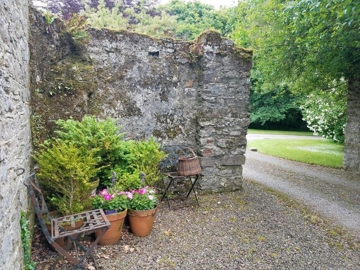 Bed and Breakfast Kilmahon House, P25A973 Shanagarry Exterior foto