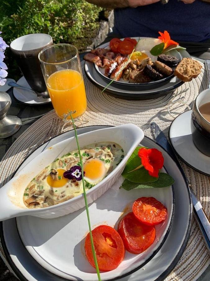 Bed and Breakfast Kilmahon House, P25A973 Shanagarry Exterior foto