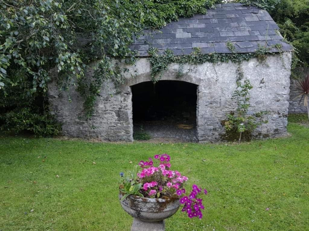 Bed and Breakfast Kilmahon House, P25A973 Shanagarry Exterior foto